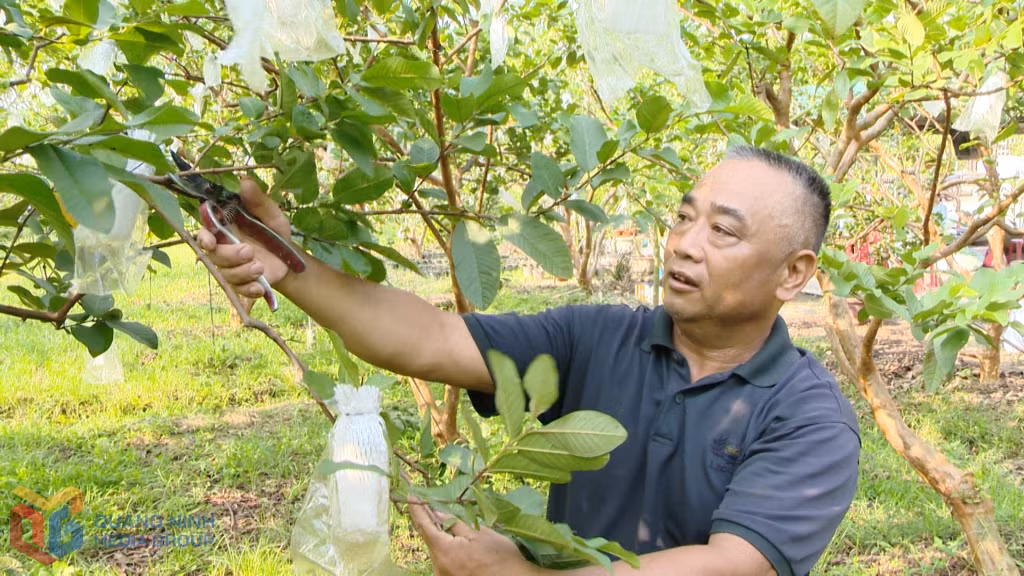 Anh Phạm Văn Hảo, khu Thượng Thông là một trong những cá nhân điển hình trong phong trào thi đua yêu nước của phường Hoàng Quế giai đoạn 2020-2025.