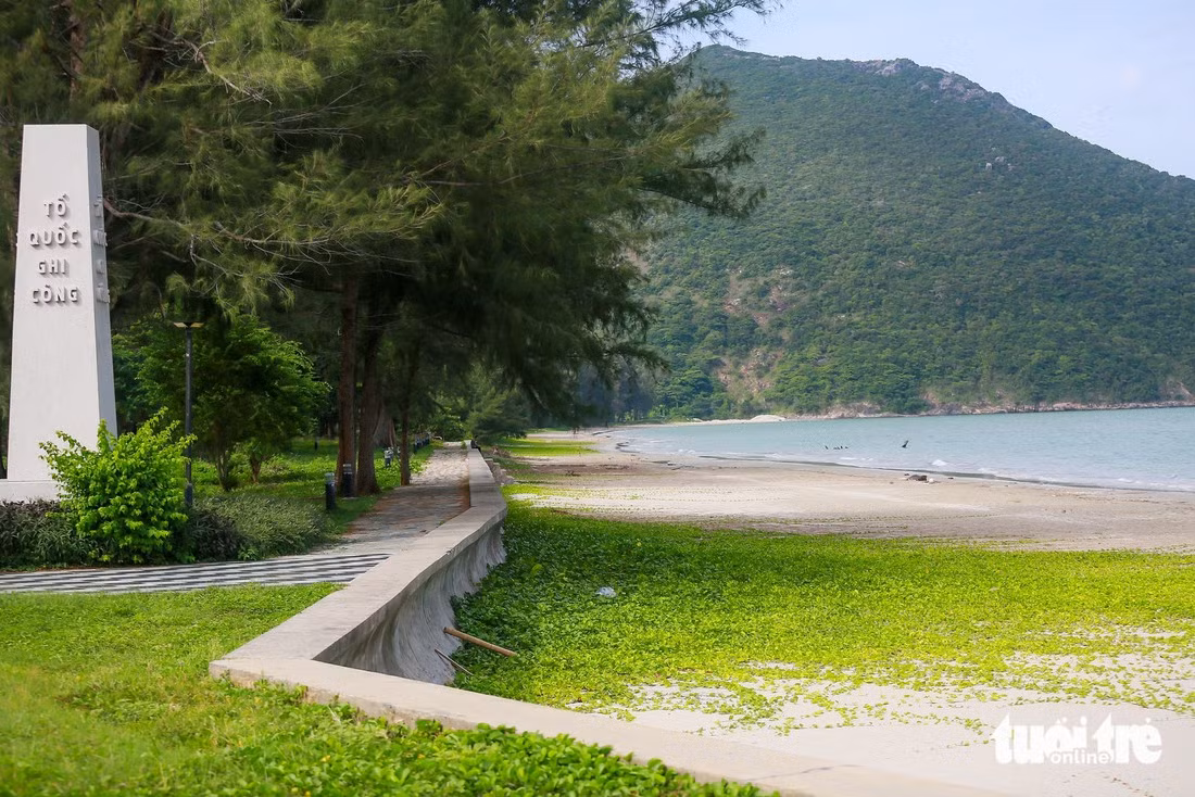 Bờ biển Côn Đảo có bãi cát sạch, cỏ cây xanh mướt