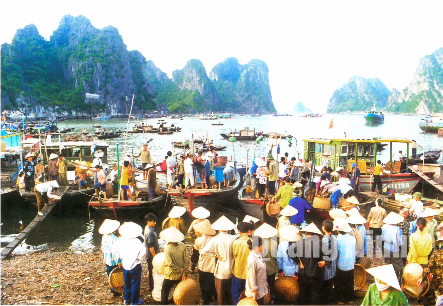 Bến cá Hạ Long. Ảnh: Đỗ Khánh