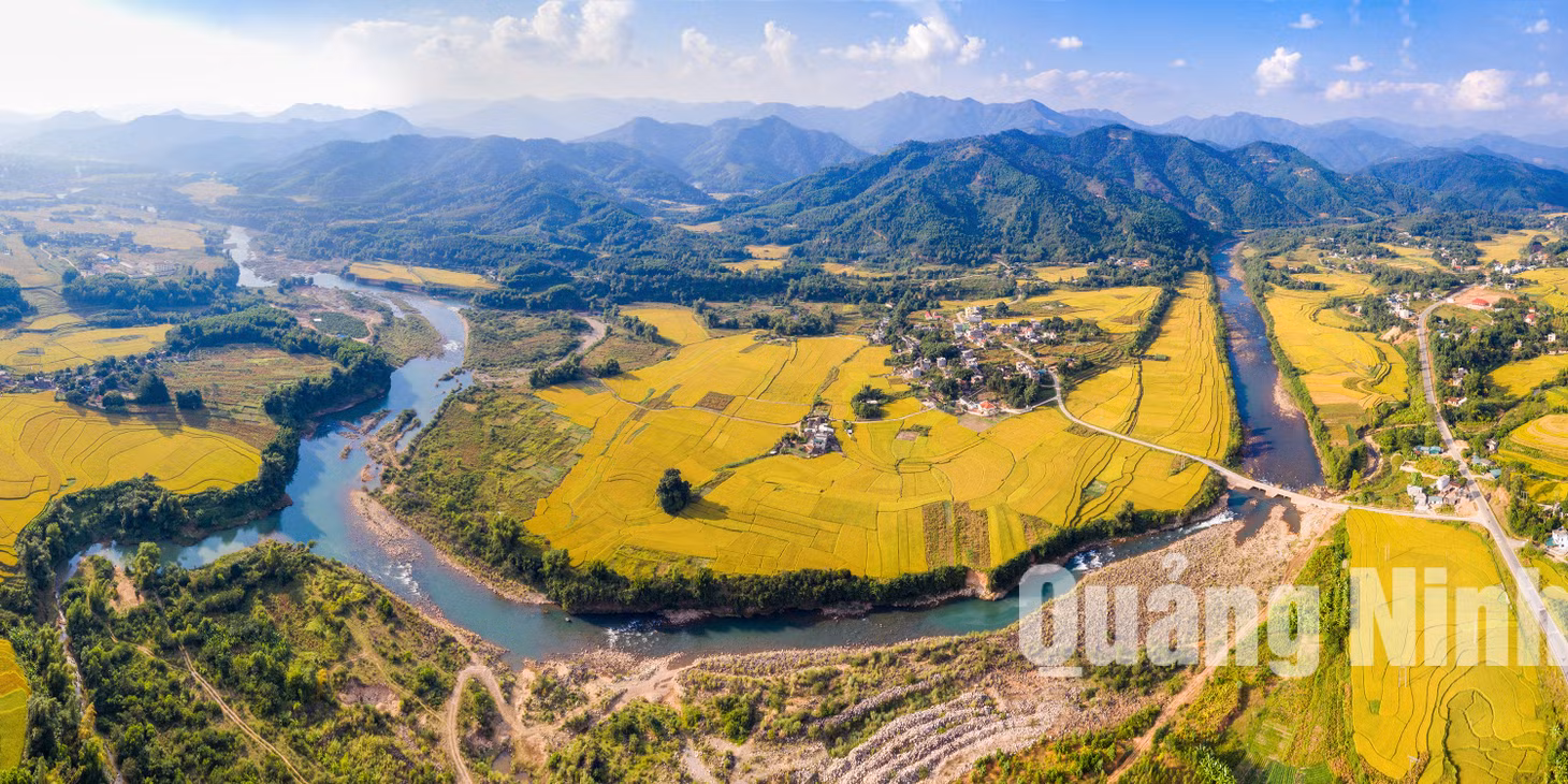 Màu vàng bao phủ khắp Bình Liêu (8-2019). Ảnh: Nguyễn Thành Chung