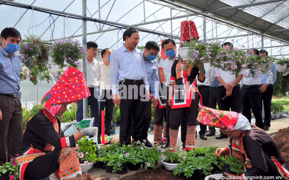 Bí thư Tỉnh ủy Nguyễn Xuân Ký đến thăm mô hình nông nghiệp ứng dụng công nghệ cao của HTX Hoa Bình Liêu (thôn Cao Sơn, xã Hoành Mô) (9-2020). Ảnh: Minh Hà