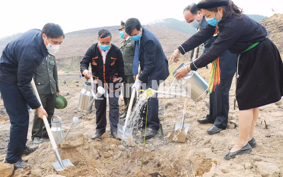 Chủ tịch UBND tỉnh Nguyễn Tường Văn cùng lãnh đạo TP Hạ Long tham gia trồng rừng tại lễ phát động (2-2021). Ảnh: Đỗ Phương