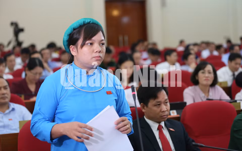 Các đại biểu nêu câu hỏi chất vấn tại hội trường (7-2019). Ảnh: Đỗ Phương