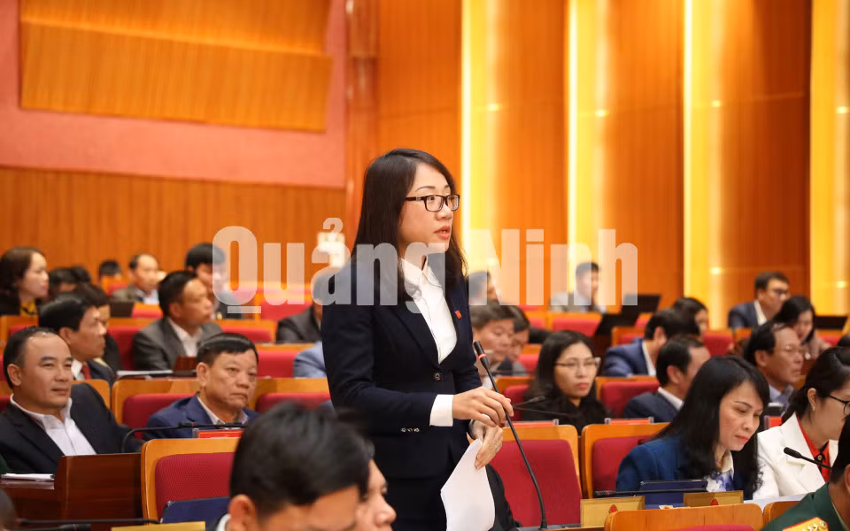 Đại biểu Châu Hoài Thu, Tổ đại biểu Vân Đồn, chất vấn tại kỳ họp (12-2019). Ảnh: Hùng Sơn