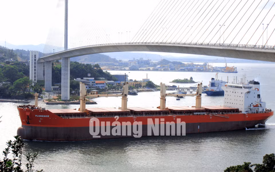 Tàu 53.000 tấn xuất khẩu cho Nhật Bản năm 2007.