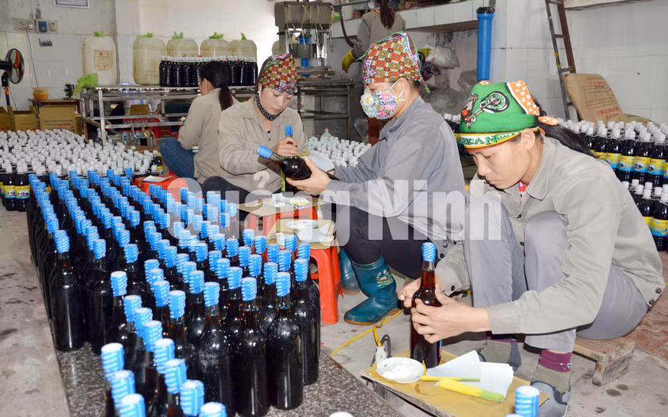 Công nhân Công ty CP Thuỷ sản Cái Rồng dán tem nhãn cho sản phẩm nước mắm đóng chai của Công ty (5-2016). Ảnh: Cao Quỳnh