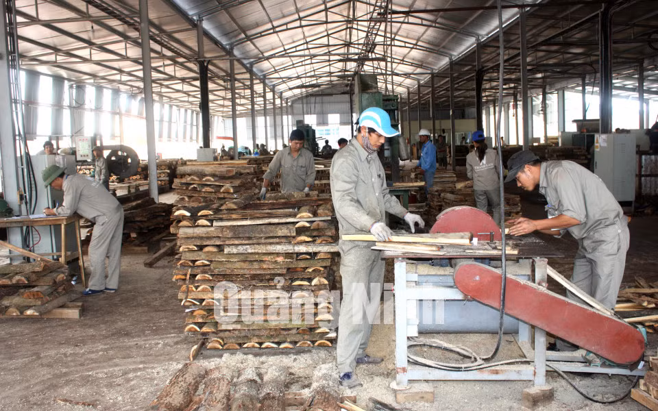 Công ty TNHH chế biến sản xuất gỗ Thanh Lâm (xã Đầm Hà) ảnh 3