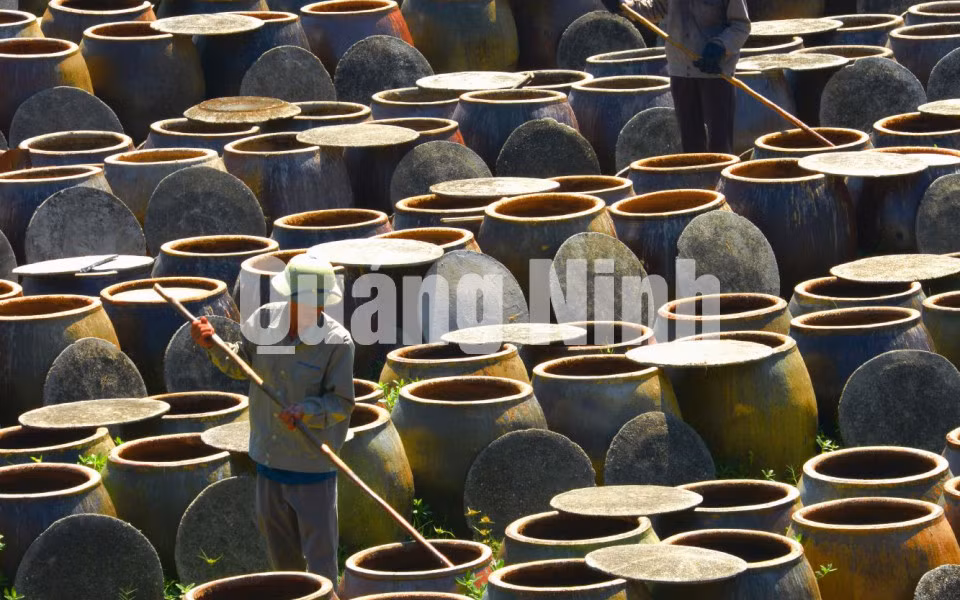 Xưởng mắm Cái Rồng (8-2017). Ảnh: Nguyễn Khắc Đạm