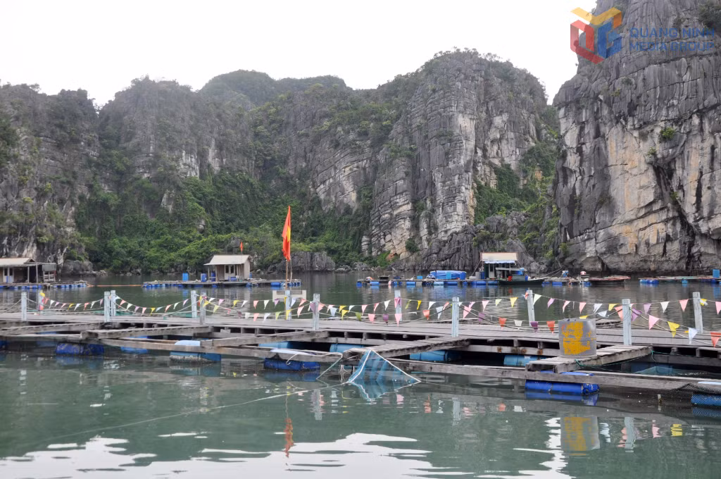 Nhà bè của ngư dân tại làng chài Vung Viêng trên vịnh Hạ Long.
