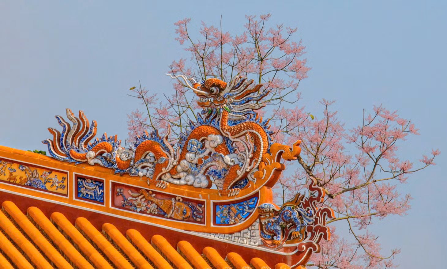 Theo các tài liệu, ngô đồng thuộc loại "vương giả chi hoa", một trong 9 loài cây hoa được vua Minh Mạng cho khắc vào Cửu đỉnh tượng trưng vương quyền.