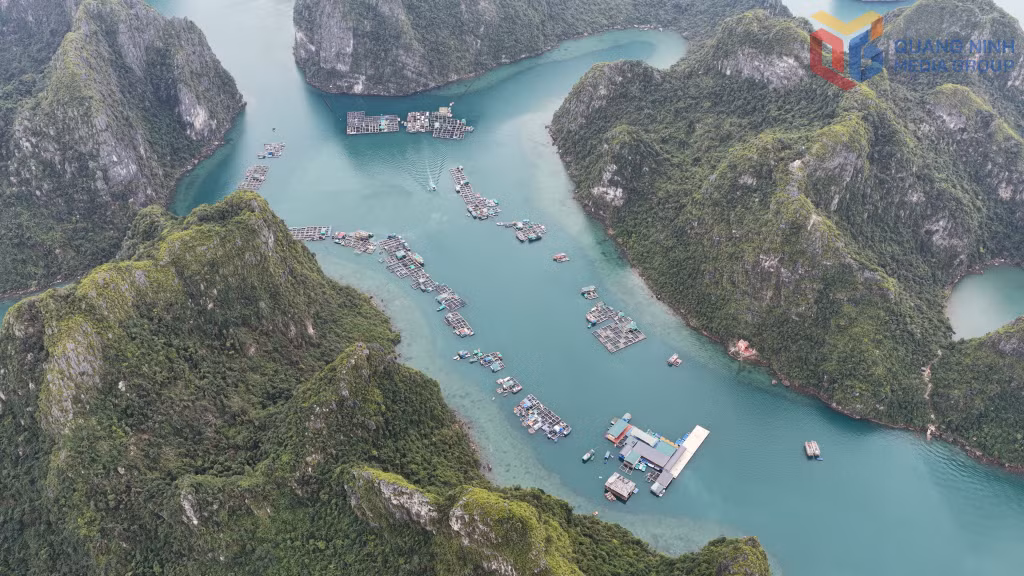 Làng chài Cửa Vạn giữa non nước Vịnh Hạ Long.