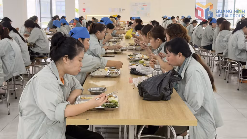 Nhà ăn Công ty TNHH May mặc Hoa Lợi Đạt Quảng Ninh.