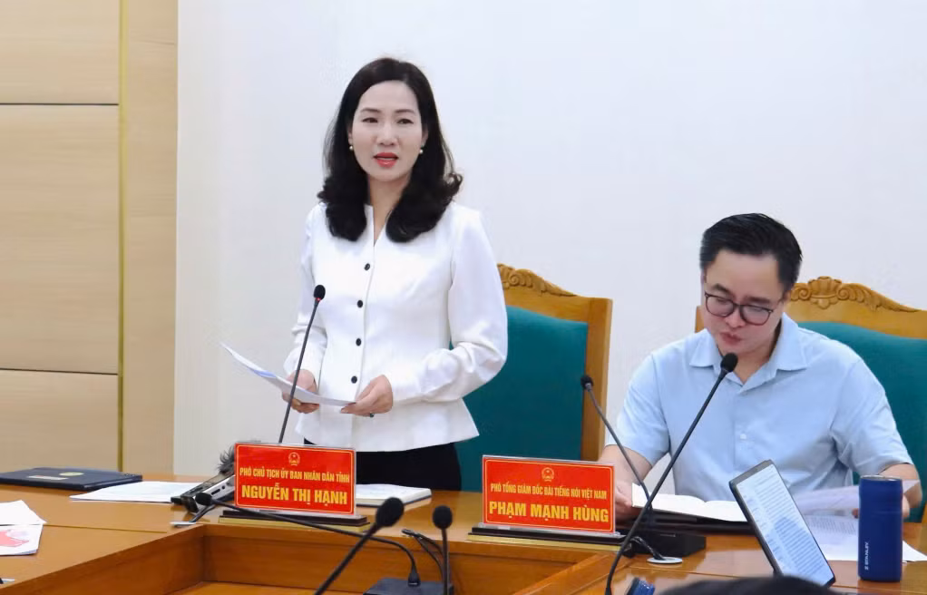 Đồng chí Nguyễn Thị Hạnh, Phó Chủ tịch UBND tỉnh phát biểu tại cuộc họp.