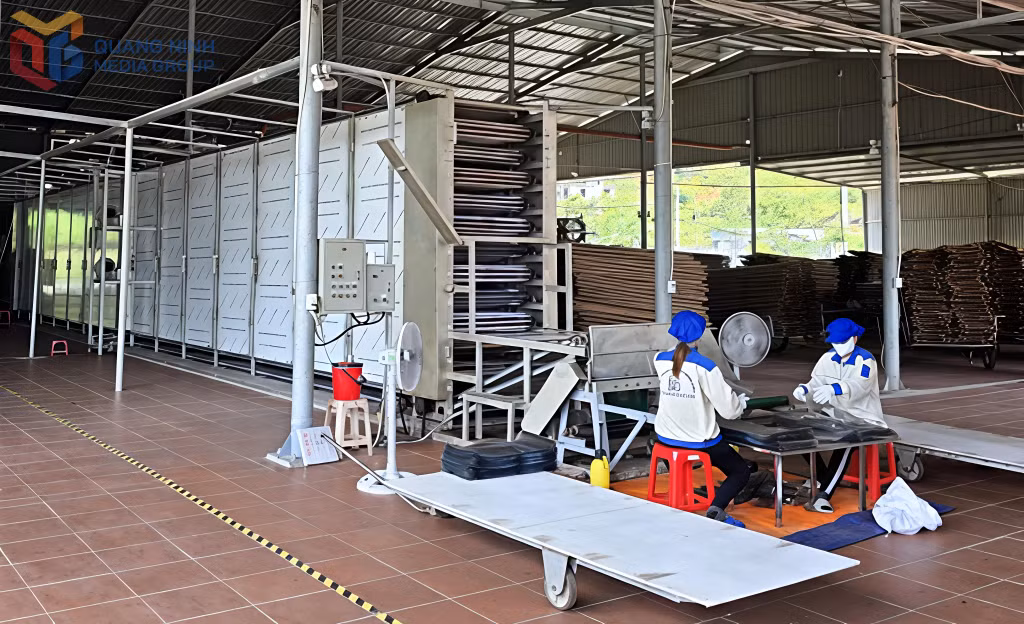Hệ thống máy tráng sấy liên hoàn trị giá trên 2,7 tỷ đồng được Công ty CP Thương mại và Dịch vụ Bình Liêu đầu tư nhằm hiện đại hoá quy trình sản xuất, nâng cao chất lượng sản phẩm.