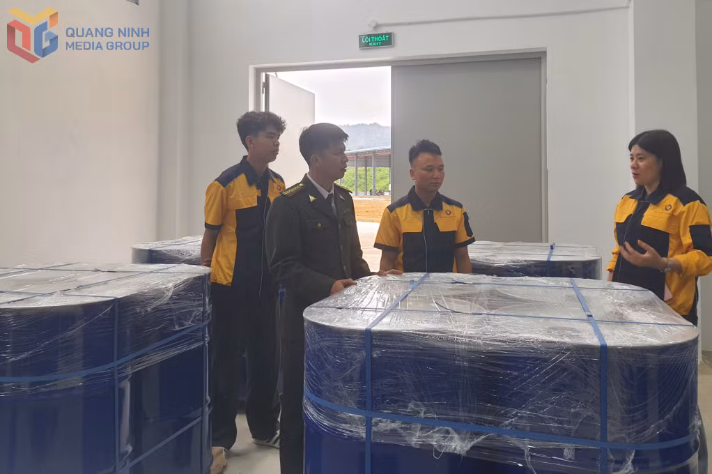Lô hàng 160 tấn tinh dần quế của Công ty TNHH MTV Quế Ba Chẽ xuất đi Mỹ.