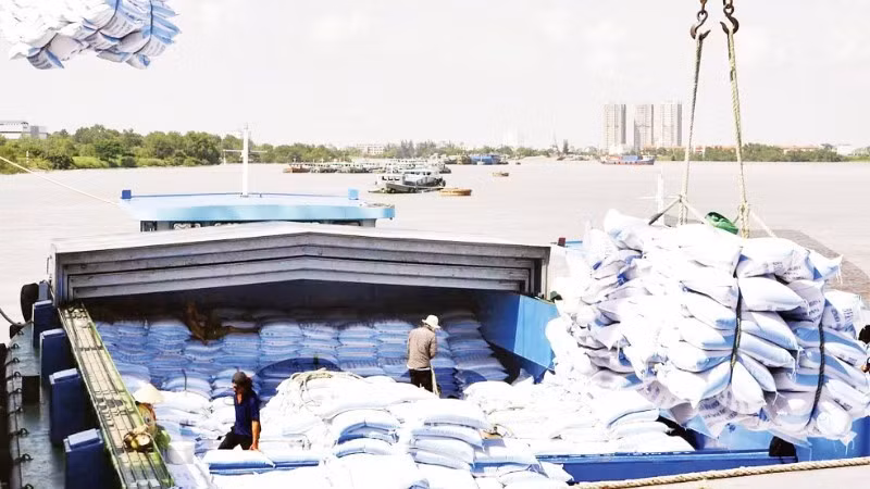 Bốc xếp gạo xuất khẩu tại cảng của doanh nghiệp trên địa bàn Thành phố Hồ Chí Minh. (Ảnh: ANH ĐỨC)