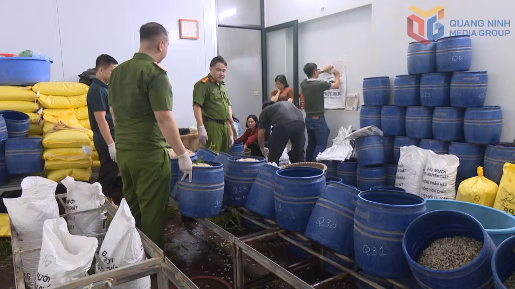 Cơ quan chức năng kiểm tra tại cơ sở sản xuất giá đỗ do đối tượng Phạm Thị Quỳnh là chủ.