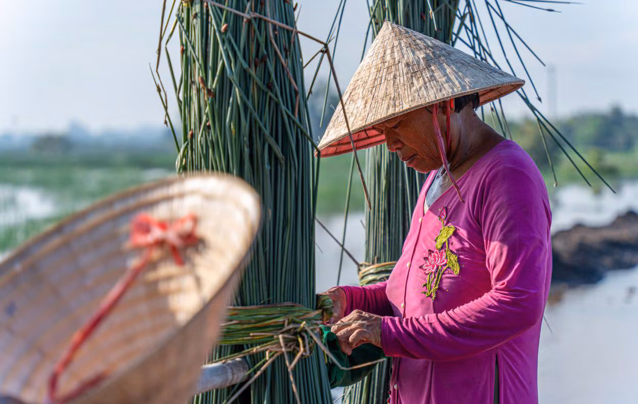 Từ tờ mờ sáng, các gia đình trong vùng đã bắt đầu ngày làm việc. Trên những cánh đồng trải dài, tiếng cười nói tạo nên không khí lao động rộn ràng. Ảnh: Nguyễn Khánh Vũ Khoa