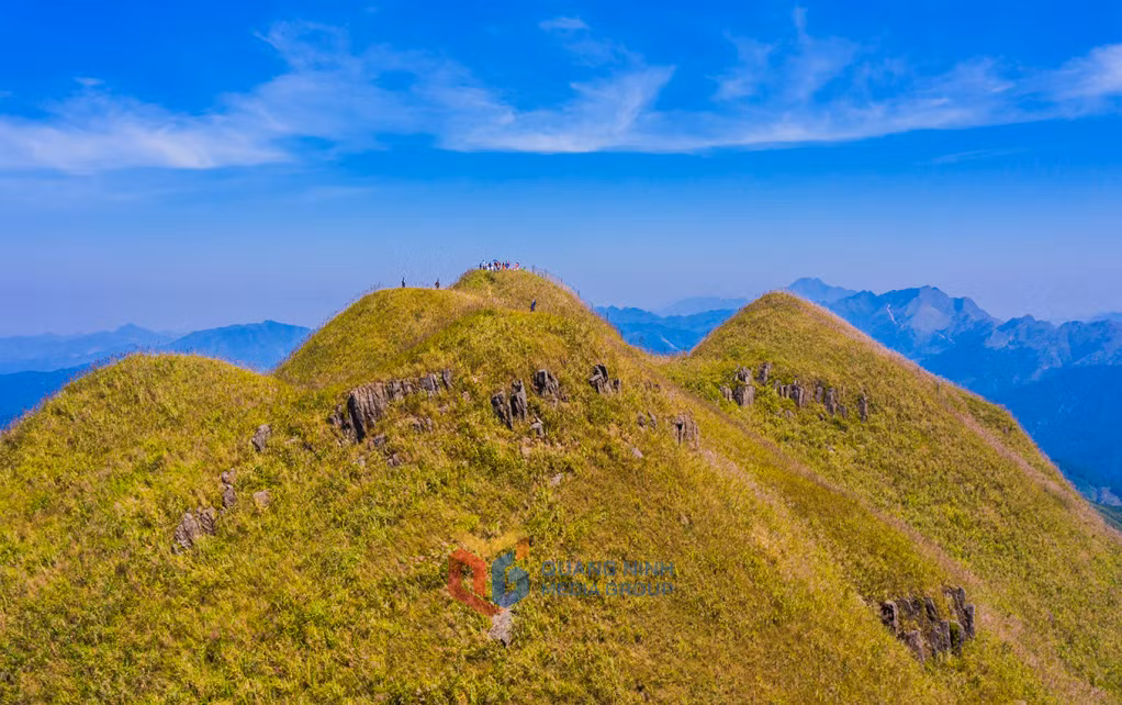 Vẻ đẹp hùng vĩ của mùa hoa cỏ lau, bình liêu, anh giang