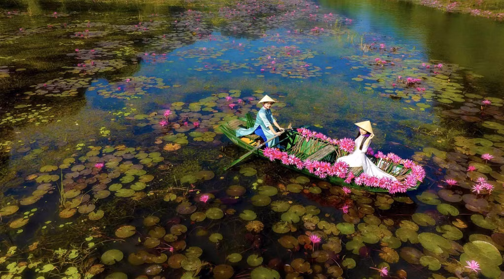 Dòng sông Ngô Đồng như được "nhuộm tím" bởi màu hoa súng.