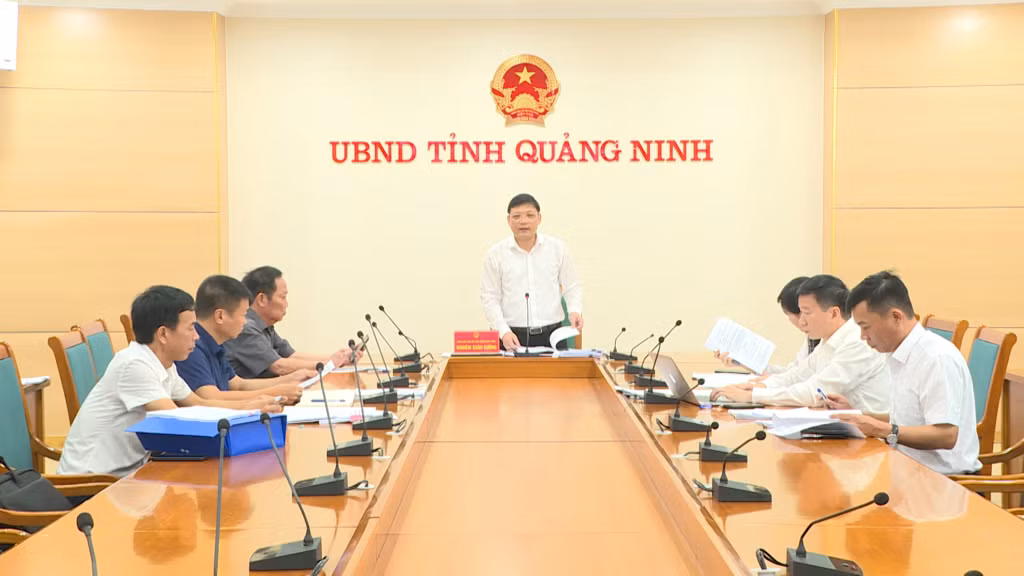 Đồng chí Nghiêm Xuân Cường, Phó Chủ tịch UBND tỉnh phát biểu kết luận cuộc họp.