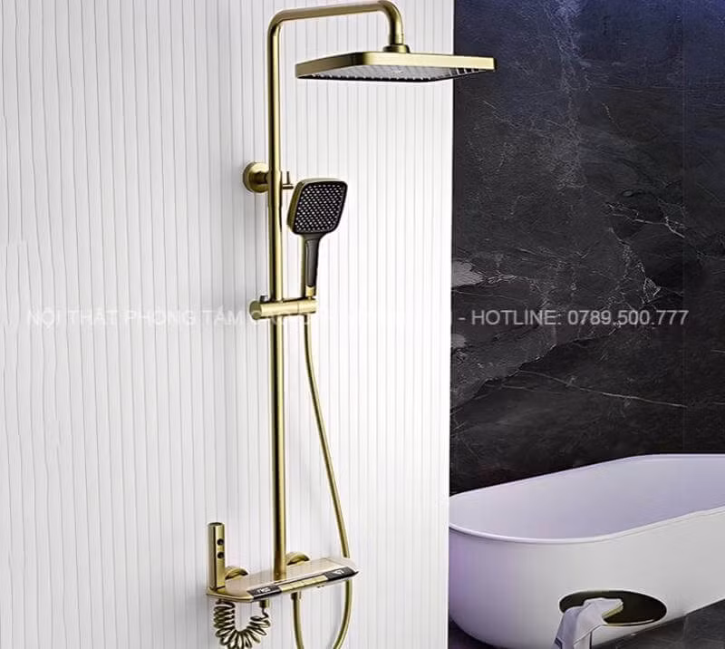 Mẫu vòi sen cao cấp mã DS50