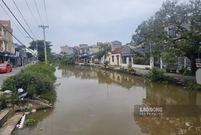 Đoạn sông Văn Lai ở xã Ninh Giang, tỉnh Ninh Bình. Ảnh: Phạm Trọng