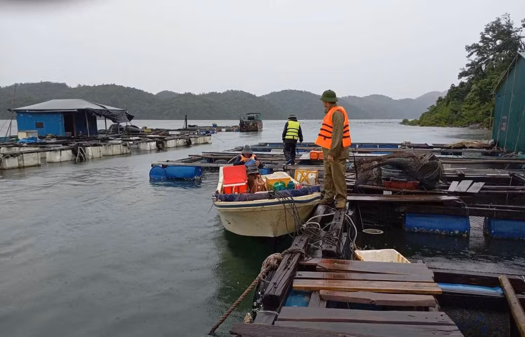 Các phương tiện tàu thuyền đã di chuyển đến các khu vực tránh trú bão an toàn. Ảnh: CTV