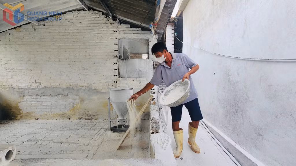 Ông Bùi Đăng Tiệp ,Thôn Trại Lốc, phường An Sinh khử khuẩn và để trống chuồng sau khi 250 con lợn bị dịch tả lợn Châu phi. 