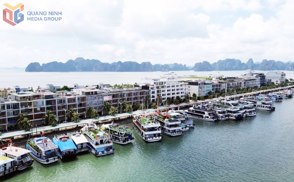 Nhiều tàu du lịch vỏ thép với tiện nghi hiện đại sẵn sàng đón khách tham quan Vịnh Hạ Long và các tuyến đảo trong mùa cao điểm du lịch hè.