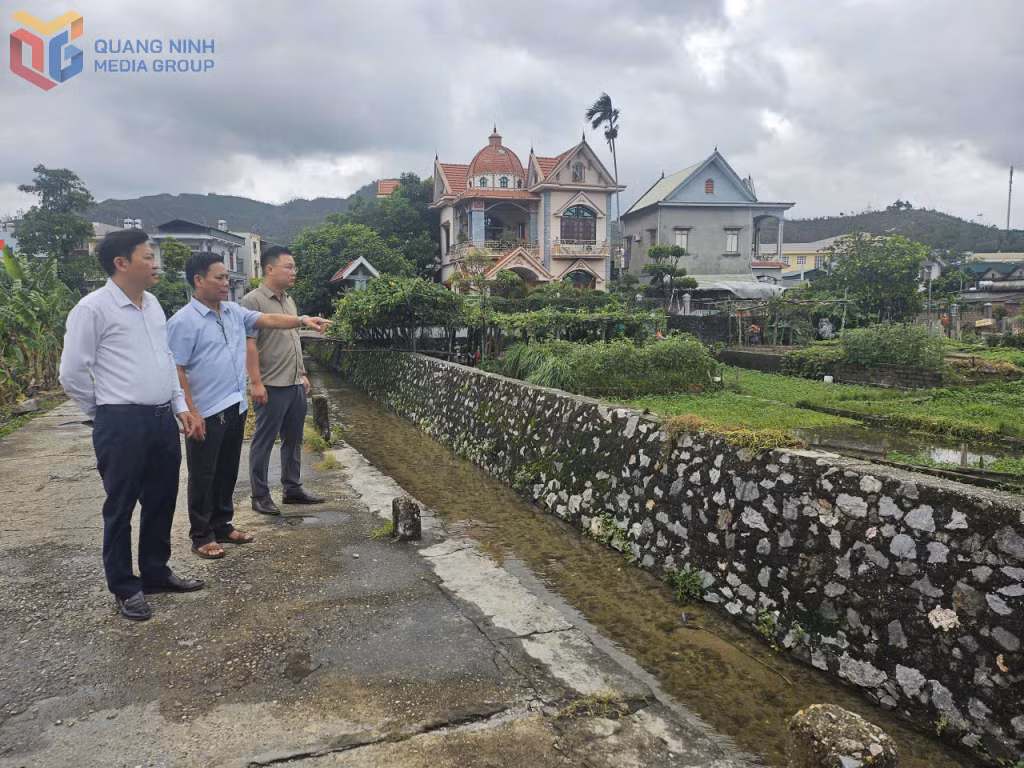 Hệ thống thoát nước khu Cẩm Thịnh 6B, phường Cửa Ông đã được cải thiện rõ rệt từ sự vận động, tuyên truyền của cán bộ mặt trận Khu phố.