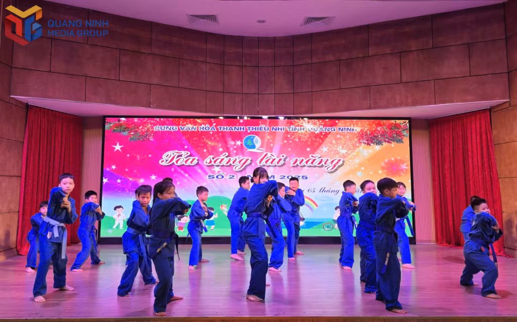 Các em thiếu nhi biểu diễn Vovinam trên sân khấu tổng kết khóa 2.