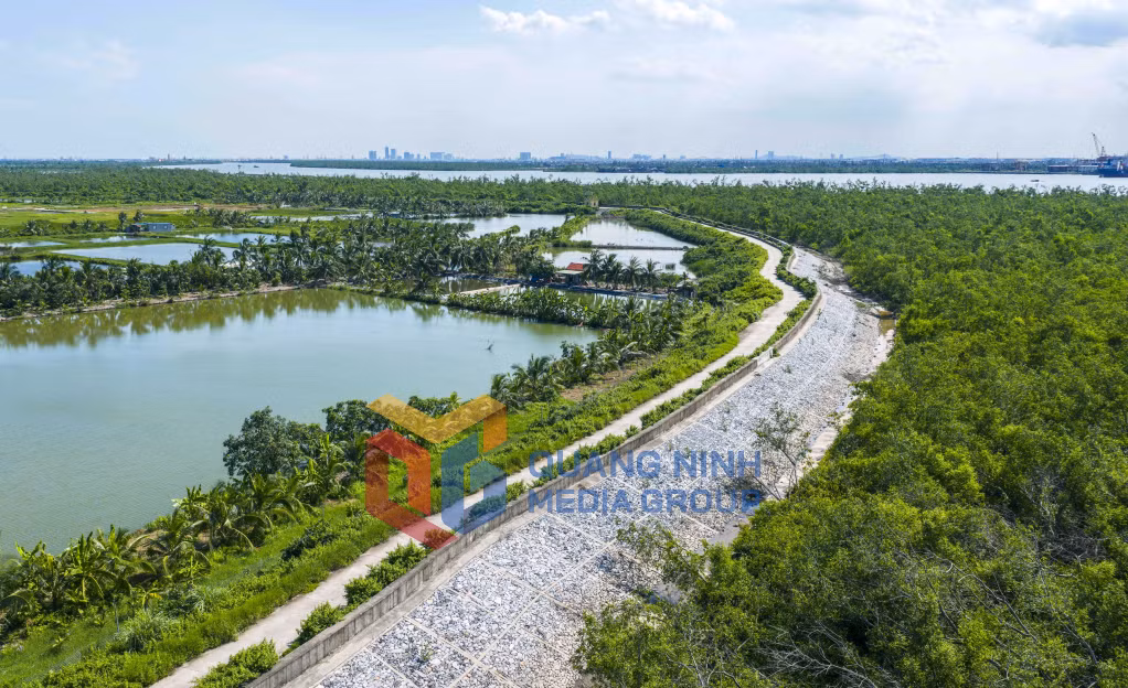 Tuyến đê uốn lượn quanh đảo vừa chắn sóng, bảo vệ cuộc sống của người dân. Đây cũng là nơi lý tưởng để dạo bước và ngắm cảnh hoàng hôn (8-2025). Ảnh: Đỗ Giang