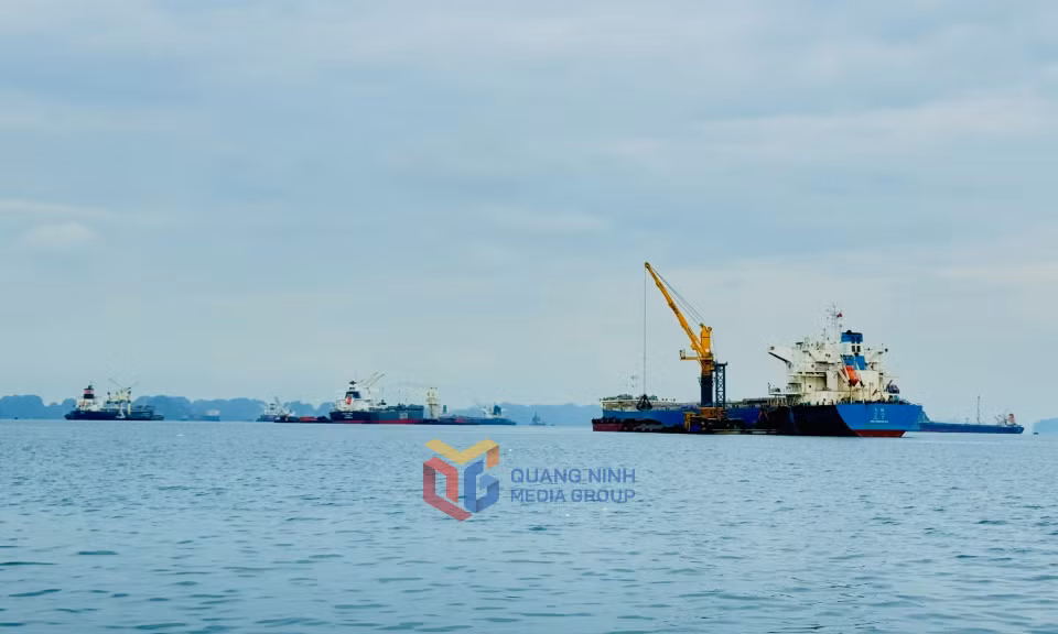 Hoạt động bốc xúc hàng hóa tại Khu vực cảng Con Ong - Hòn Nét. Ảnh: Mạnh Trường