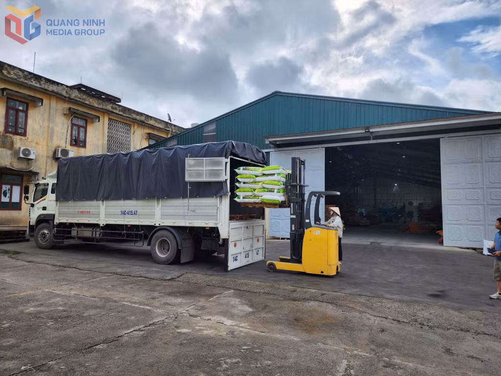 Công ty CP giống cây trồng Quảng Ninh sử dụng thiết bị cơ giới trong khâu bốc xếp hàng hoá.