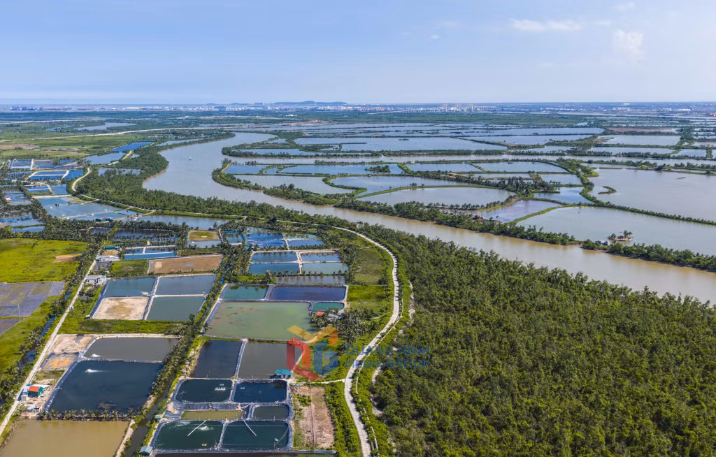 Bờ sông uốn lượn mềm mại quanh đảo, tạo nên nét đẹp thơ mộng và đầy chất trữ tình cho vùng đất ven biển Quảng Yên.