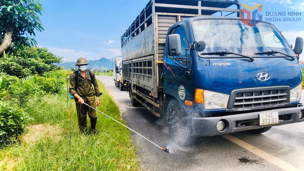 Chốt kiểm soát dịch tả lợn Châu phi của phường Bình Khê thực hiện công tác phun khử khuẩn cho các phương tiện qua lại.