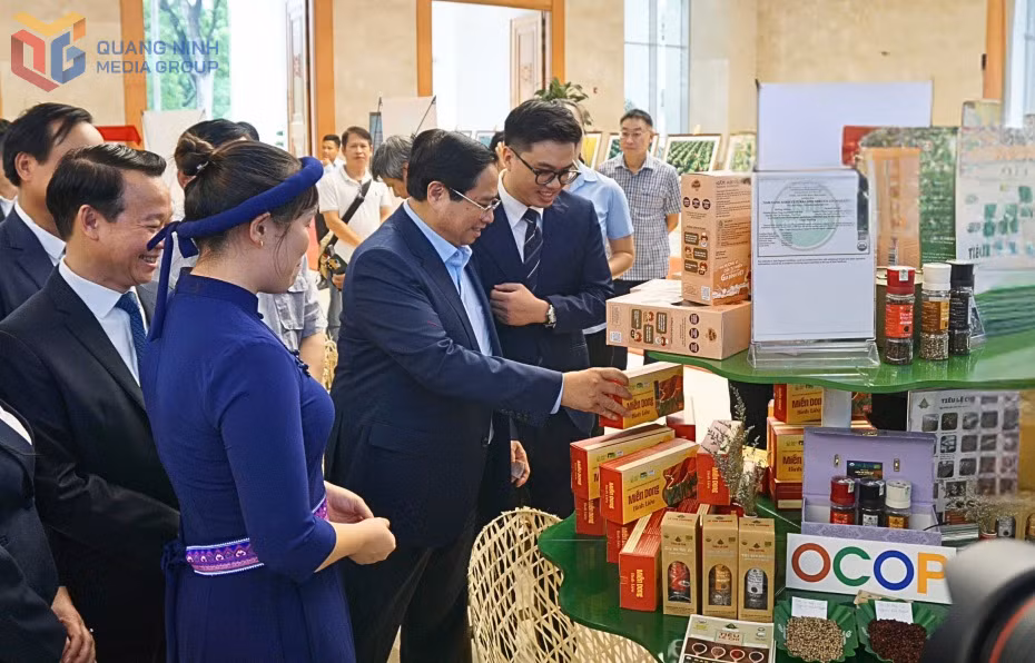 Miến dong Bình Liêu - sản phẩm OCOP 5 sao của Quảng Ninh được lựa chọn tham gia trưng bày tại Hội nghị tổng kết chương trình xây dựng NTM. Ảnh: Minh Đức
