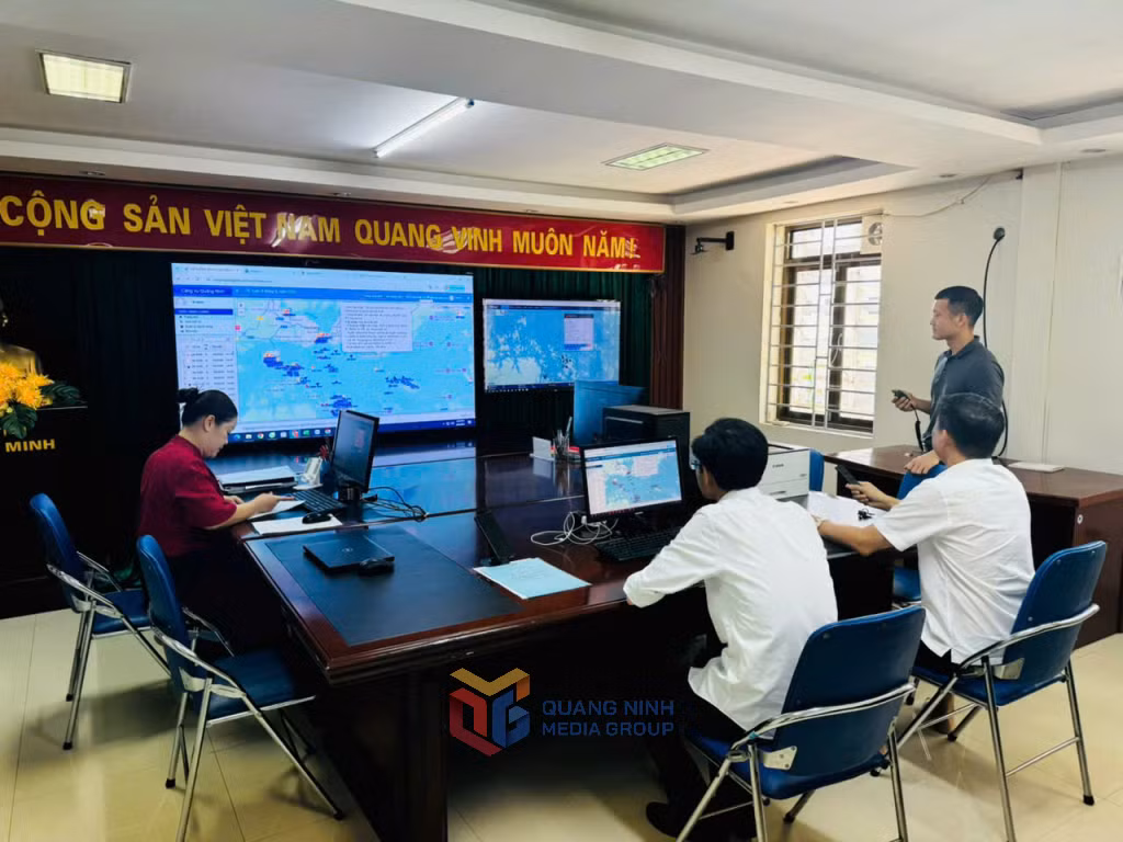 Cảng vụ Đường thủy nội địa và đăng kiểm phương tiện thủy nội địa tỉnh rà soát các điểm tránh trú bão và giám sát hành trình của các tàu du lịch trên vịnh Hạ Long.