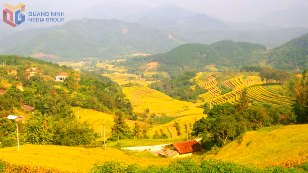 Mùa vàng ở các thôn bản của xã là cảnh đẹp hấp dẫn du khách bốn phương, tạo thương hiệu du lịch riêng cho xã.