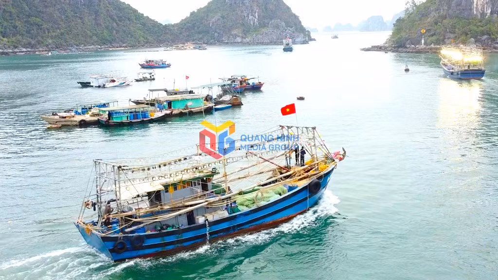 Tàu cá hoạt động trên vùng biển Vân Đồn.