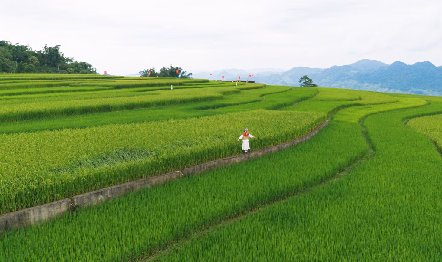 Để ngắm mùa lúa xanh non mơn mởn và hòa mình vào bầu không khí trong lành của vùng đất Tây Bắc này, du khách nên đến vào buổi sáng sớm (6h - 8h) hoặc cuối chiều (15h -17h).
