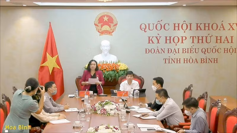 Đại biểu Đặng Bích Ngọc phát biểu từ điểm cầu Hòa Bình. (Ảnh: quochoi.vn)
