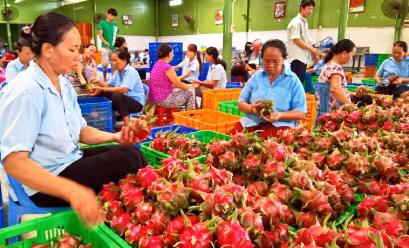 Giữ vững đà tăng trưởng nông nghiệp ảnh 1