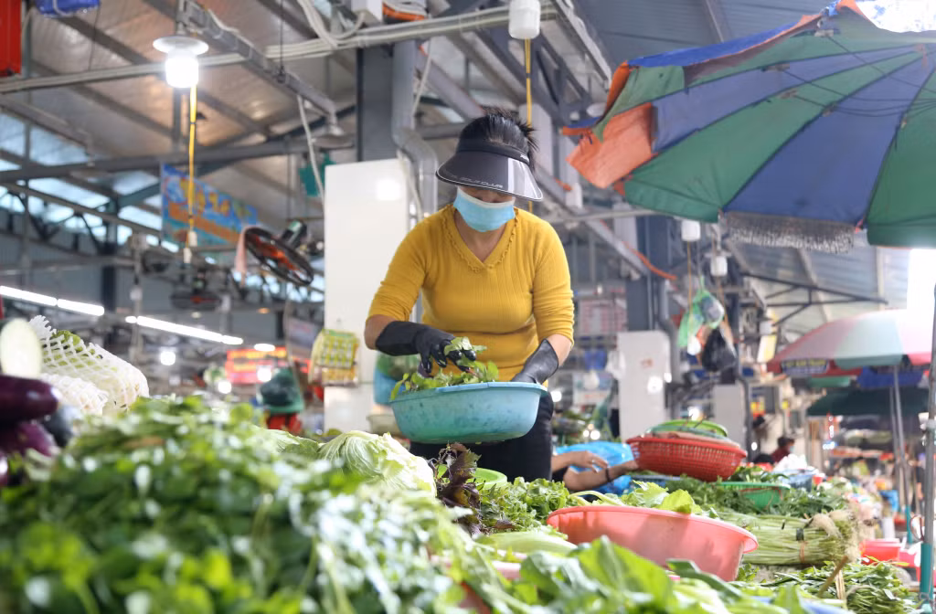 Thời gian gần đây, giá của mặt hàng rau xanh tăng mạnh.
