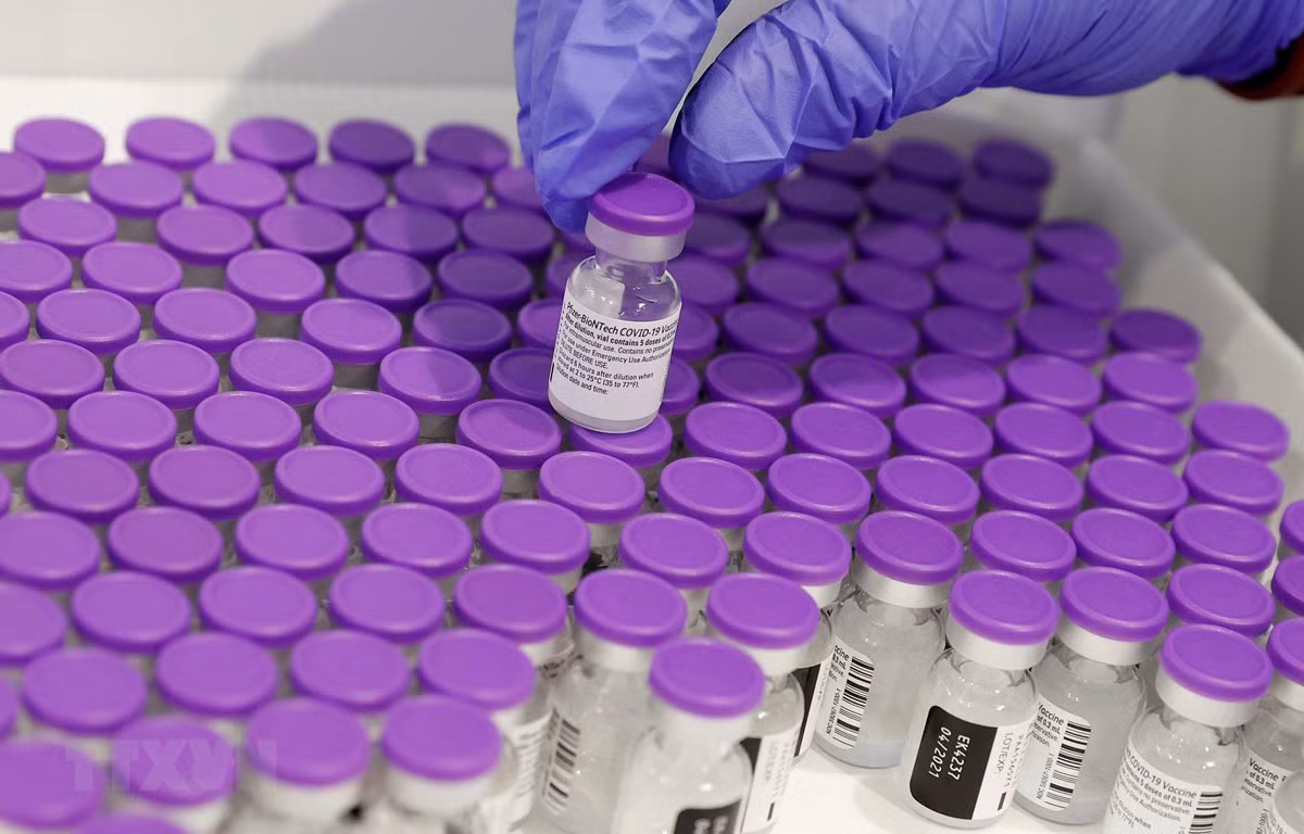 Vaccine ngừa COVID-19 của Pfizer/BioNTech. (Ảnh: AFP/TTXVN)