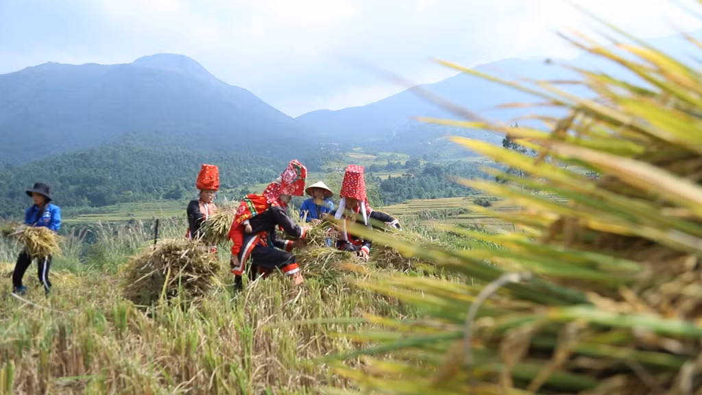 Em bé say giấc trên lưng mẹ.