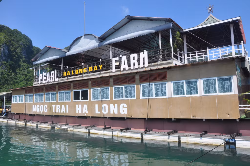 Trang trại Ngọc trai Hạ Long nằm ở vụng Tùng Sâu trên Vịnh Hạ Long.