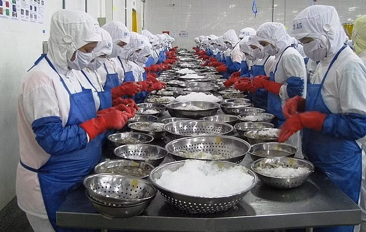 Xuất khẩu tôm dần phục hồi sau 2 tháng liên tiếp giảm Xuất khẩu tôm dần phục hồi sau 2 tháng liên tiếp giảm