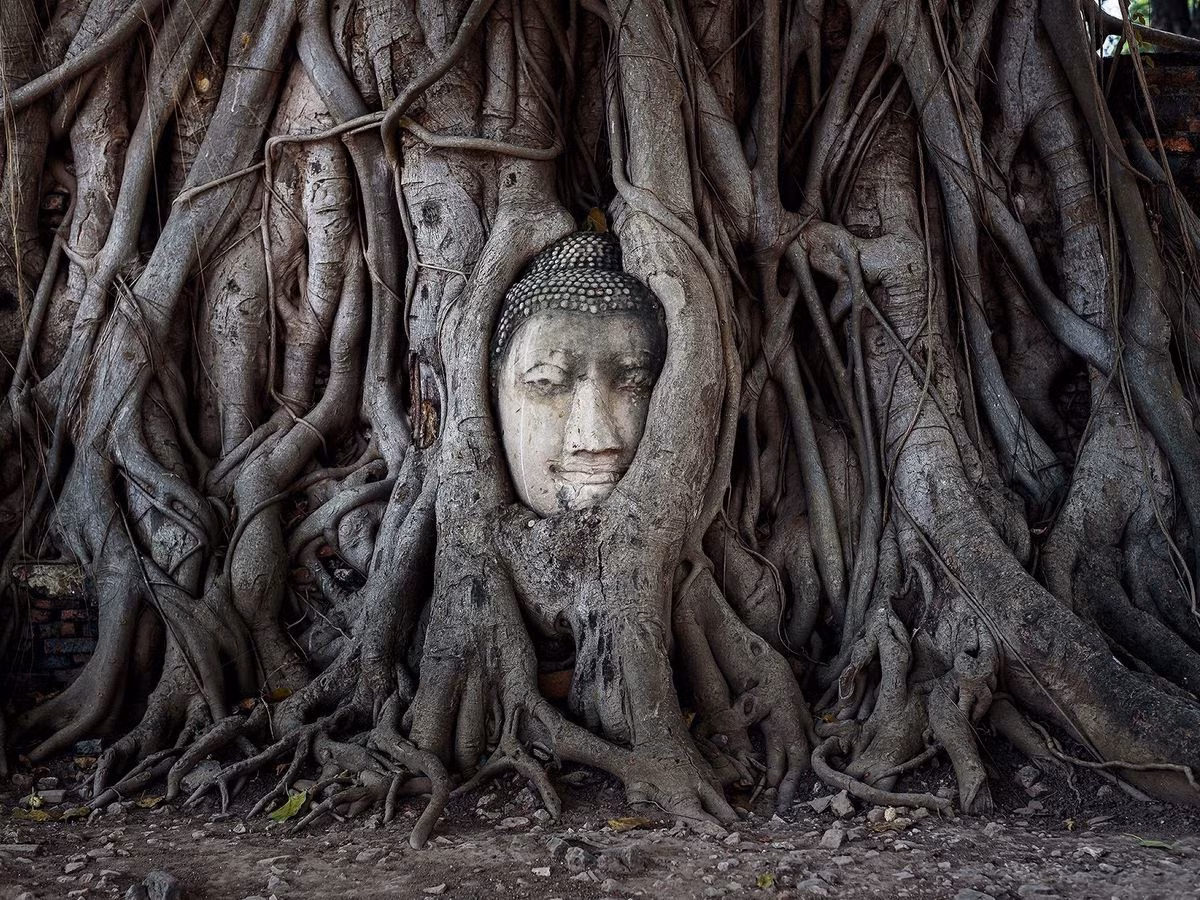Ayutthaya anh 5
